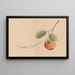 Zeshin iboku tairyukyo gafu Pl10 - Shibata Zeshin — gerahmtes Bild an der Wand