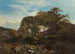 Eine gallische Farm - Sidney Richard Percy — Ansicht des Kunstwerks