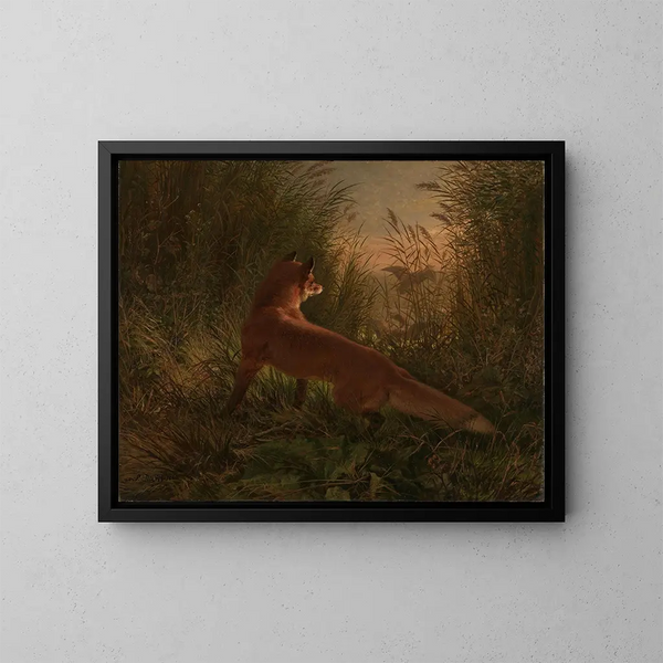 Ein Fuchs - Siegwald Dahl — gerahmtes Bild an der Wand