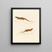 Eremias knoxii Eremias lineo-ocellata - Sir Andrew Smith — gerahmtes Bild an der Wand