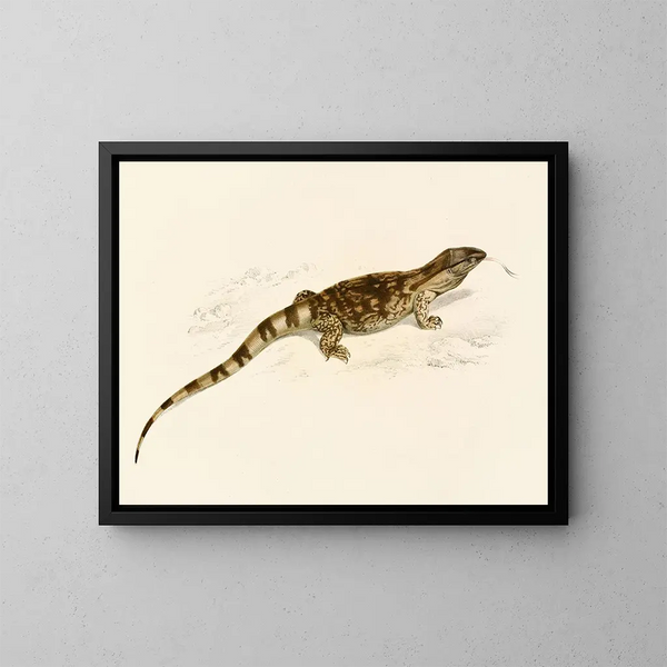 Varan der Savannen - Sir Andrew Smith — gerahmtes Bild an der Wand