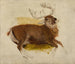 Hirsch sterbend - Sir Edwin Henry Landseer — Ansicht des Kunstwerks