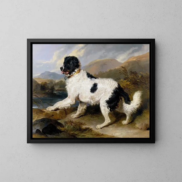 Löwe, ein Neufundländer Hund - Sir Edwin Henry Landseer — gerahmtes Bild an der Wand