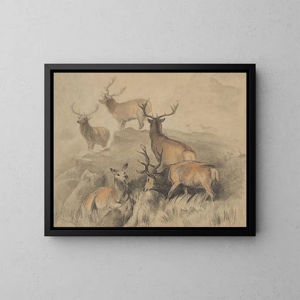 Einige der schönsten Hirsche des Waldes - Sir Edwin Henry Landseer — gerahmtes Bild an der Wand