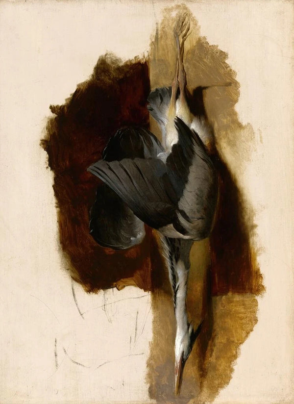 Studie eines toten Reiher - Sir Edwin Henry Landseer — gerahmtes Bild an der Wand