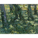 Reproduktion des Gemäldes Unterholz - Vincent van Gogh
