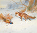 Überflogen von den Flügeln - Archibald Thorburn — Ansicht des Kunstwerks