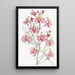 Schizanthus à pétales émoussés - Sydenham Edwards — gerahmtes Bild an der Wand