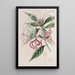 Posoqueria changeante - Sydenham Edwards — gerahmtes Bild an der Wand