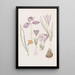 Krokus - Sydenham Edwards — gerahmtes Bild an der Wand
