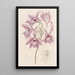 Laelia à longues tiges - Sydenham Edwards — gerahmtes Bild an der Wand