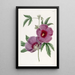 M. Lindley - Sydenham Edwards Hibiskus-Gemälde — gerahmtes Bild an der Wand