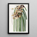 Maxillaria de M. Steels - Sydenham Edwards — gerahmtes Bild an der Wand