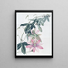Mme Marryats Taxonia - Sydenham Edwards — gerahmtes Bild an der Wand