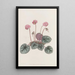 Cyclamen du rivage - Sydenham Edwards — gerahmtes Bild an der Wand