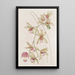 Cymbidium mit kurzen Lippen und dicken Blättern - Sydenham Edwards — gerahmtes Bild an der Wand