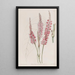 Polygonum à tige embrassante - Sydenham Edwards — gerahmtes Bild an der Wand