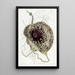 Aristoloche puante - Sydenham Edwards — gerahmtes Bild an der Wand