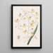 Oncidium mit Lindenblatt-Blättern - Sydenham Edwards — gerahmtes Bild an der Wand