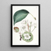Der chinesische Birnbaum - Sydenham Edwards — gerahmtes Bild an der Wand