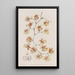 L'oncidium Kissen - Sydenham Edwards — gerahmtes Bild an der Wand