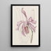 La Grande Cattleya - Sydenham Edwards — gerahmtes Bild an der Wand