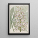 Der Maroni-Baum des Ohio - Sydenham Edwards — gerahmtes Bild an der Wand