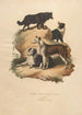 Der Hirtenhund und Der Priester - Sydenham Edwards — Ansicht des Kunstwerks
