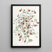 Le Tropaeolum Tricolore - Sydenham Edwards — gerahmtes Bild an der Wand