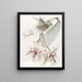 Von Martius Stanhopea Bicolore - Sydenham Edwards — gerahmtes Bild an der Wand