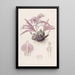 Caelogyne de Wallich - Sydenham Edwards — gerahmtes Bild an der Wand