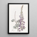 Lupin à feuilles blanches - Sydenham Edwards — gerahmtes Bild an der Wand