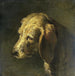 Kopf eines Hundes - Nicolas Toussaint Charlet — Ansicht des Kunstwerks