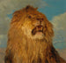 Löwenkopf erhoben - Rosa Bonheur — Ansicht des Kunstwerks