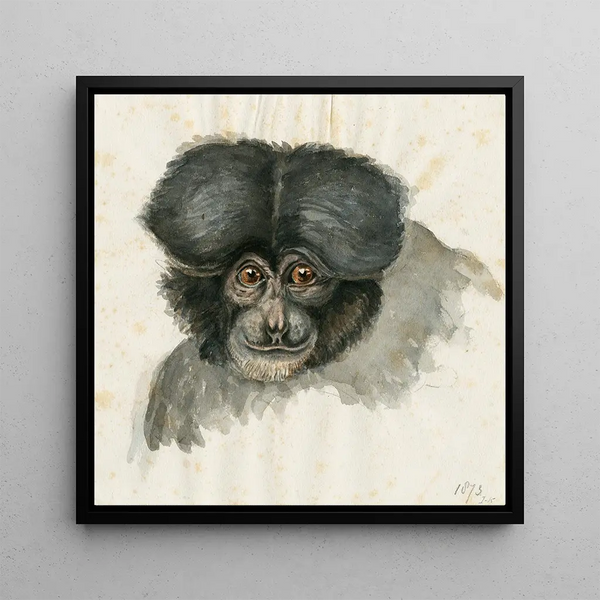 Tête de singe - Floris Verster