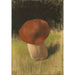 Reproduktion des Gemäldes Der Pilz - Franz von Stuck