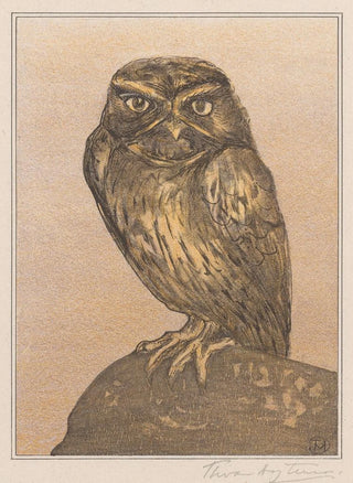 Theo van Hoytema - Steenuil op rots.webp