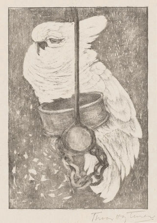 Theo van Hoytema - Witte kaketoe.webp