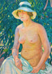 Akt im Panama - Theo van Rysselberghe — Ansicht des Kunstwerks