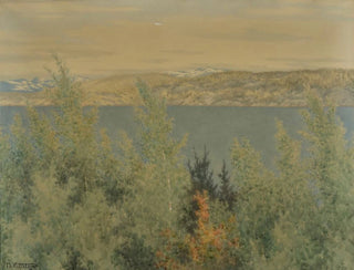 Der Frühling von Vren - Theodor Kittelsen — Ansicht des Kunstwerks