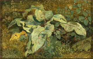 Theodor Petter - Meadow Plants.webp
