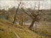 La floraison du raisin - Theodore Clement Steele — Ansicht des Kunstwerks
