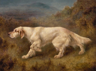 Ned de Mallwyd - Thomas Blinks — Ansicht des Kunstwerks