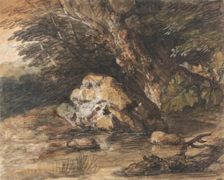 Thomas Gainsborough - A Woodland Pool with Rocks and Plants.webp