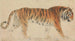 Ein Tiger - Thomas Stothard — Ansicht des Kunstwerks