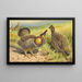 Grouse des prairies - Thomas Waterman Wood — gerahmtes Bild an der Wand