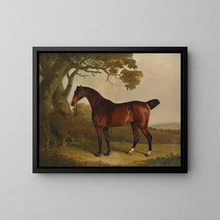 Thomas Weaver - A bay horse tethered to a tree in a landscape.webp
