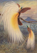 Paradiesvögel - Thomas William Wood — Ansicht des Kunstwerks