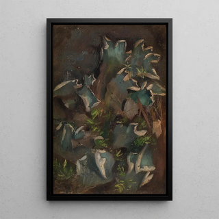 Torsten Wasastjerna - Lichen.webp