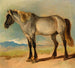 Ein weißes Pferd mit einem schwarzen Kopf - Friedrich Gauermann — Ansicht des Kunstwerks